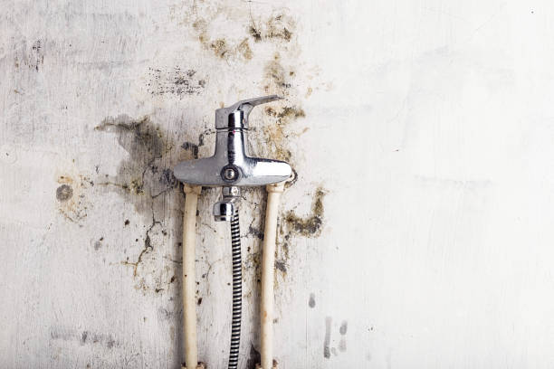 Best Office Mold Removal Services  in Rhinelander, WI