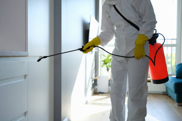 Best Emergency Mold Removal  in Rhinelander, WI