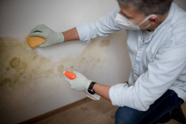 Best Water Damage Restoration  in Rhinelander, WI