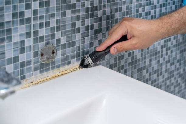 Best Mold Cleaning Services  in Rhinelander, WI
